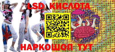 стаф Будённовск