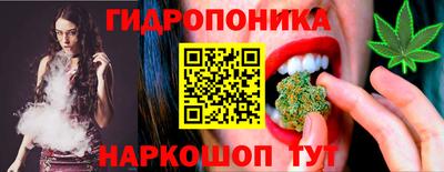 стаф Будённовск