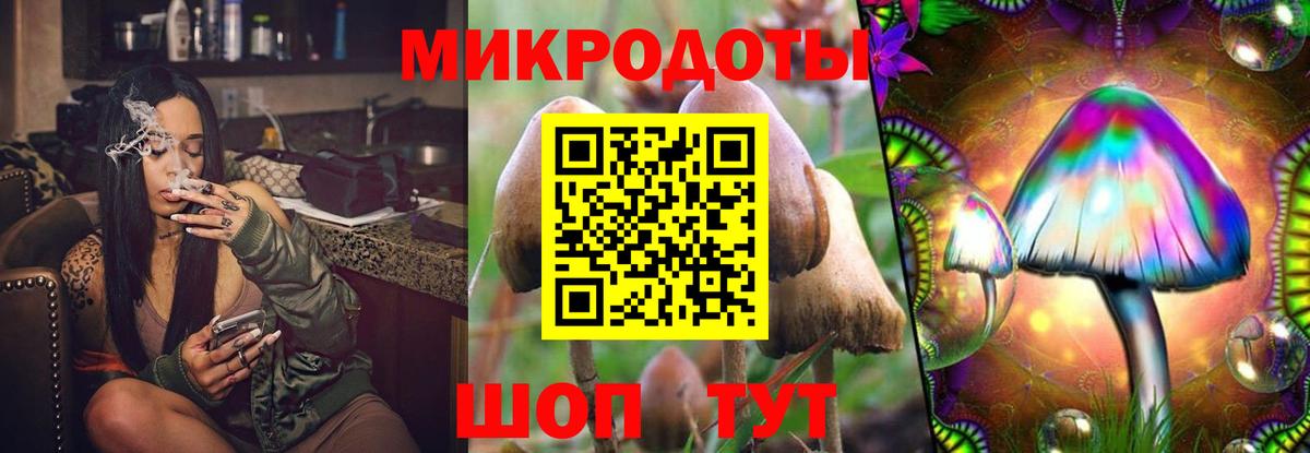Псилоцибиновые грибы Magic Shrooms  Вход с VPN  Озёрск 